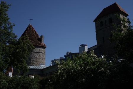 DSC09795.JPG