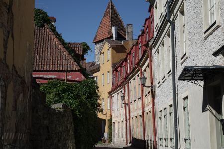 DSC09801.JPG