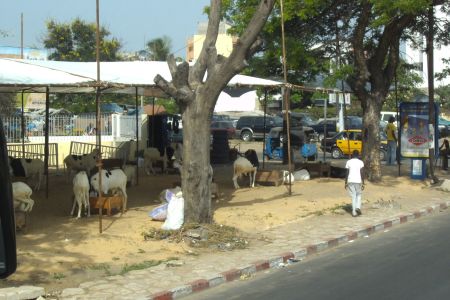 PICT0223.JPG
